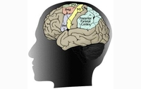 Mozak psihopate pokazuje strukturne abnormalnosti?