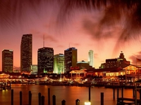 Мајами град који не спава