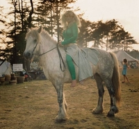 Moderni čergari putuju konjima, ali koriste laptope FOTO