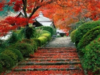 Чаробне јесени у Јапану