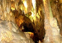 Ресавска пећина - мамац за туристе