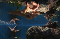Singapur: Otvoren najveći akvarijum na svijetu