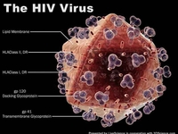 САД: Беба излијечена од HIV-a!