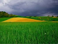 Životinje lijek za klimatske promjene