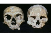 Неандерталци изумрли због превеликих очију