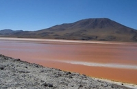 Čudo prirode u Boliviji: Jezero crvene boje 