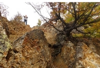 Матарушка Бања: Камена шума од милион година 