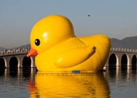 Џиновска жута патка жртва земљотреса