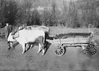 Експлоатација  кварцног пијеска