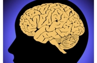 Због чега се разликују мушки и женски мозак?