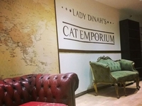 Otvoren prvi kafić za mačke u Londonu 