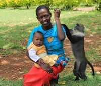 Необична интеракција људи и мајмуна у Најробију