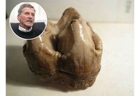 U Bugojnu pronađen zub dinosaurusa