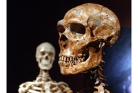 Zašto su ljudi i neandertalci toliko različiti?