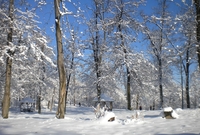 Planinarsko društvo Kozara