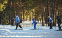 Norveški sistem proizvodi zadovoljne ljude i medalje