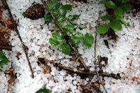 Kneževo pogodilo veliko nevrijeme