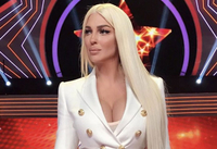 Jelena Karleuša kupila avion za dva miliona evra 