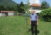 Lipa čuva sjećanje na legendu sa Romanije