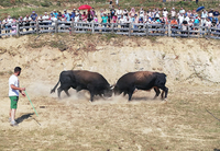 Bik Kukan pobjednik 246. Grmečke koride