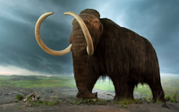 Naučnici u Jakutsku planiraju da kloniraju mamuta