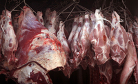  Crveno meso traži put do evropske trpeze