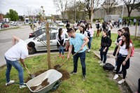  Нови дрвореди и паркови за љепшу Бањалуку