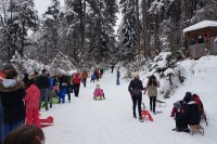 Fočaci uživali u igrama na snijegu