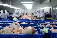 БиХ одобрен извоз пилећег меса у Европску унију