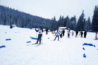 На Двориштима одржан куп Јахоринска бајка