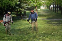 Obnovljeni travnjaci, sljedeće sedmice prvo košenje