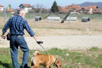 Inicijativa za još jedan park za pse