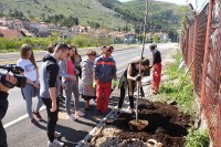 Grad sunca ponovo dobio aleju maturanata