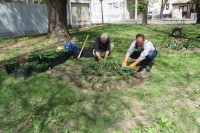 Цвијеће и зеленило украс Рогатице