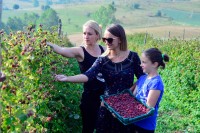 Cijena ispod 2,5 KM potapa malinjake