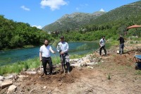 U Hercegovini niče najveći manastirski maslinjak