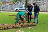 Trebinje: Počela sadnja cvijeća