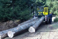 Drvoprerađivači pisali Savjetu ministara