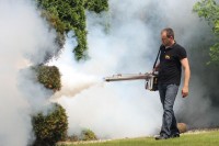 Najezda komaraca na području Banjaluke: Male krvopije napadaju u rojevima