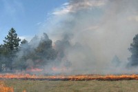 Пожар на планини Видуша, нису угрожени стамбени објекти