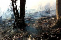 Požari u okolini Bileće i Trebinja aktivni, nisu ugrožena naselja