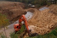 Uređenje kanala u Srpcu: Kanadske topole štitiće od poplava