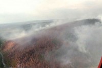 Da li su šumski požari u Sibiru ekološka katastrofa?