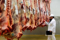 Prekid plasmana govedine u Tursku otanjio izvoz mesa