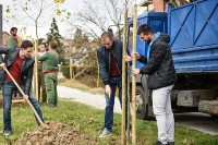 Јесења акција садње дрвореда: Биће посађено 700 стабала