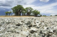 Поријекло човјечанства: Потрага за прапостојбином савремених људи 'води до Боцване'