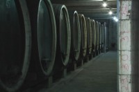 Овдје се чувају најскупља вина на Балкану: У винарији се налази 450 боца краља Александра