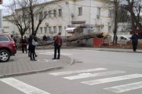 Вјетар оборио стабло у центру Бањалуке