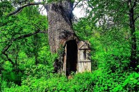 Tajna u hrastovom drvetu: Neobična crkva na jugu Srbije