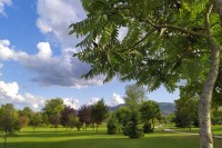 U banci gena na Institutu za genetičke resurse Univerziteta u Banjaluci čuvaju vijekovima stare sorte